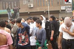 moharram-2010018