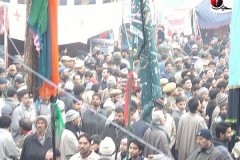 moharram-2010026