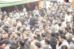 moharram-2010030