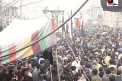 moharram-2010033