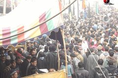 moharram-2010034