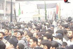 moharram-2010063