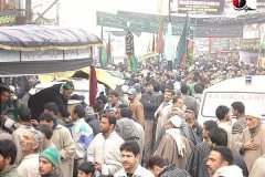 moharram-2010074