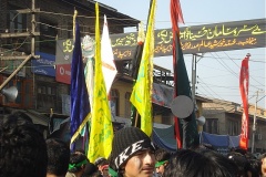 muharram-2011-007