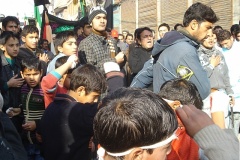 muharram-2011-011