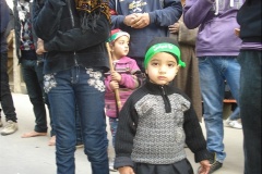 muharram-2011-024