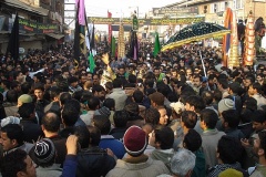 muharram-2011-036