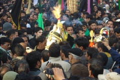 muharram-2011-038