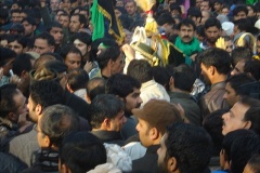 muharram-2011-039