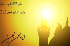 ana_majnoon_al_hussain_a_s