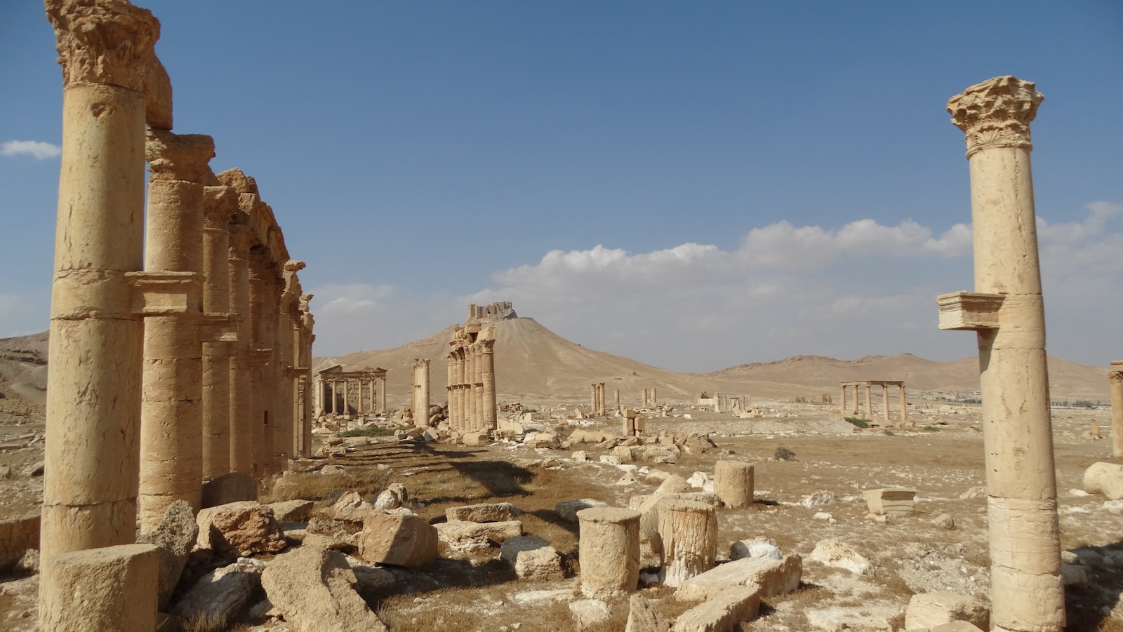 Rajab 15 680 AD: Death of Mu'awiya ibn Abi Sufyan - Imam Hussain Research